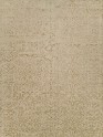 Transitional/Modern Yellow/Gold Wool Area Rug: Regal New Star 1819155: Gold (Handmade Area Rug)
